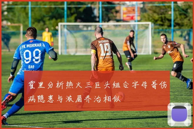 霍里分析热火三巨头组合字母哥伤病隐患与浓眉乔治相似
